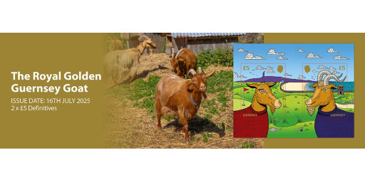 Royal Golden Guernsey Goat