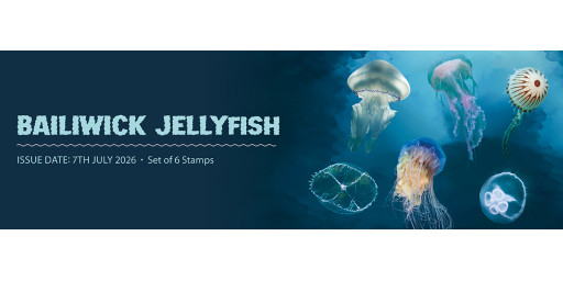 Bailiwick Jellyfish