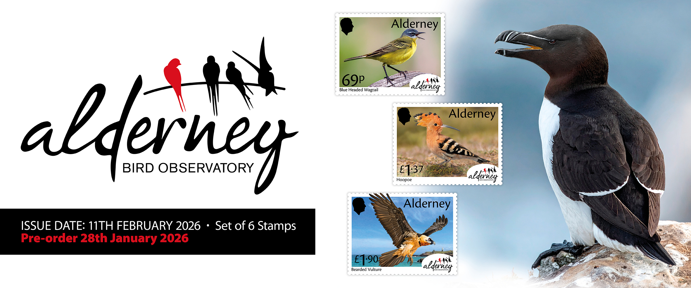 Alderney Bird Observatory 