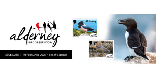 Alderney Bird Observatory