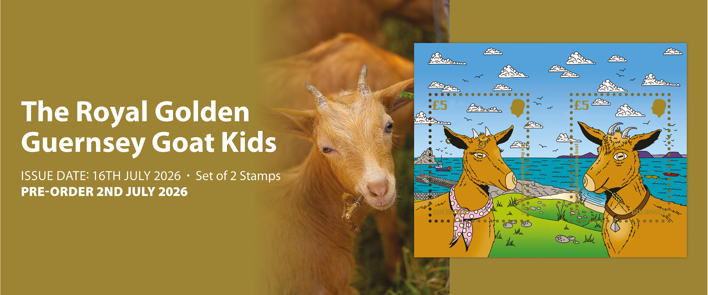 Royal Golden Guernsey Goat Kids