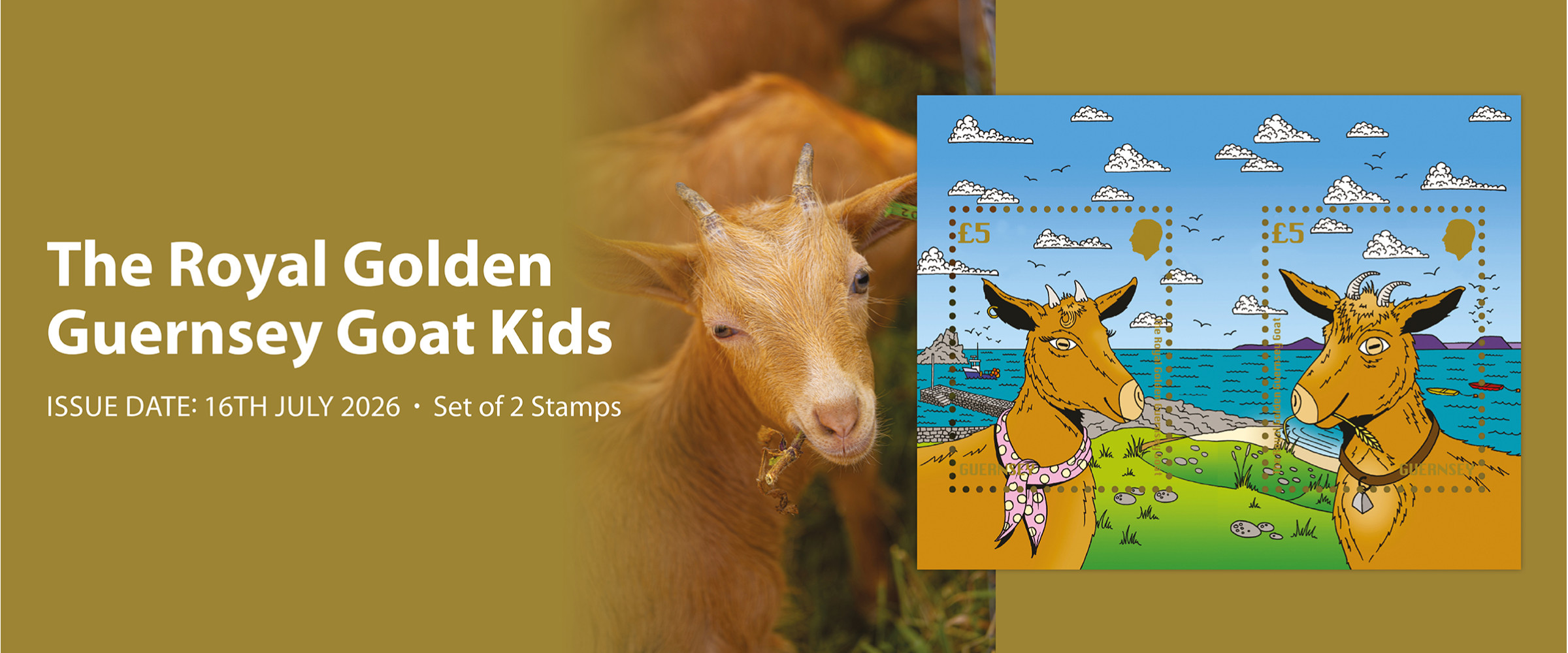 Royal Golden Guernsey Goat Kids