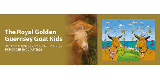 Royal Golden Guernsey Goat Kids
