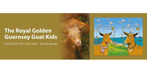 Royal Golden Guernsey Goat Kids