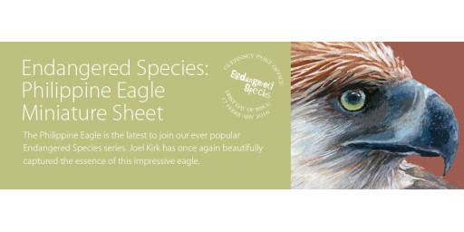 Endangered Species Philippine Eagle