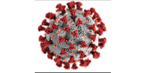 COVID UPDATE - Guernsey begins to move out of lockdown