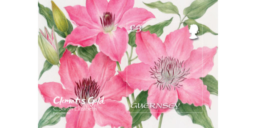 Award-winning Clematis to feature on new miniature sheet series