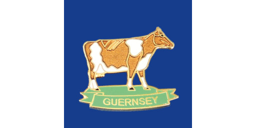 Guernsey Cow Pin Badge
