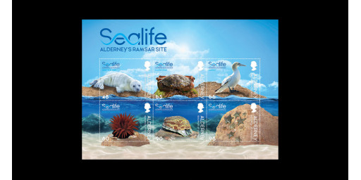 Souvenir Sheet and Pack Insert