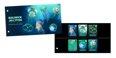 Presentation Pack