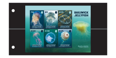 Souvenir Sheet and pack insert