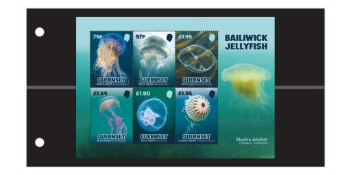 Souvenir Sheet and pack insert
