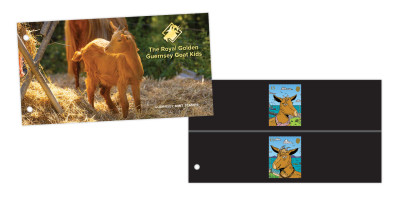 Presentation Pack