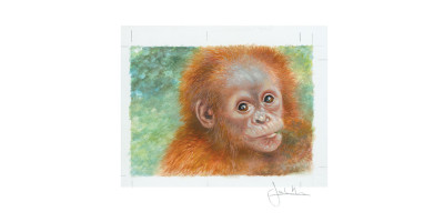 Joel Kirk Print - Sumatran Orangutan