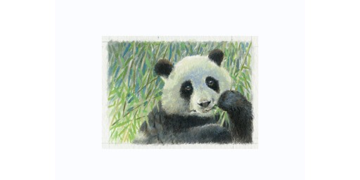 Joel Kirk Print - Giant Panda