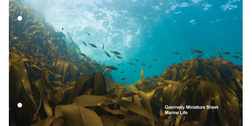 Miniature Sheet Presentation Pack