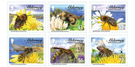 Alderney Bees