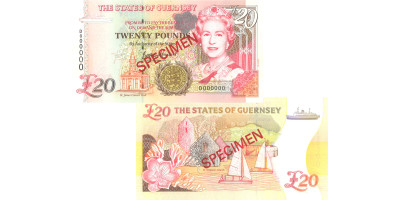 £20 'D' Prefix - B. Haines signatory Guernsey Bank Note