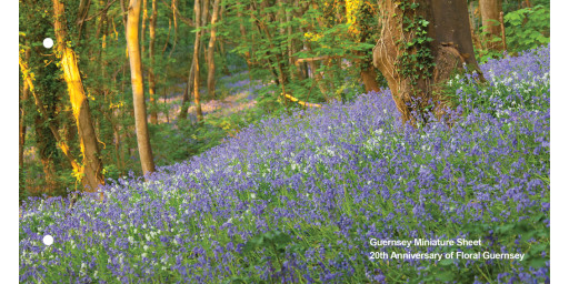 Miniature Sheet Presentation Pack