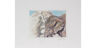 Joel Kirk Print - Asian Elephant
