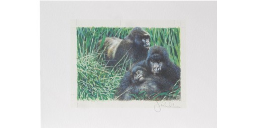 Joel Kirk Print - Moutain Gorilla