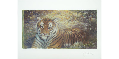 Joel Kirk Print - Bengal Tiger in brown leaves
