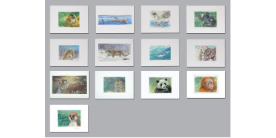 Set of Joel Kirk Prints