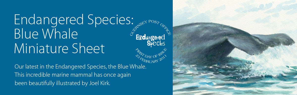 Endangered Species: Blue Whale