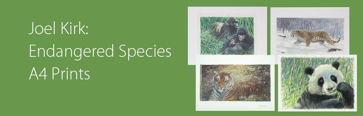 Joel Kirk Endangered Species A4 Prints