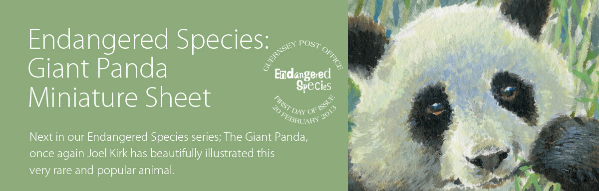 Endangered Species Giant Panda
