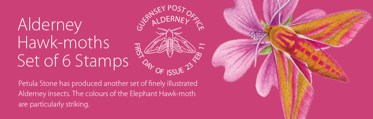 Alderney Hawk-moths