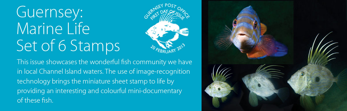 Guernsey Marine Life