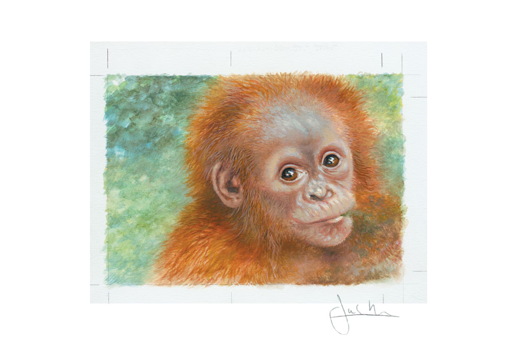 Joel Kirk Print - Sumatran Orangutan