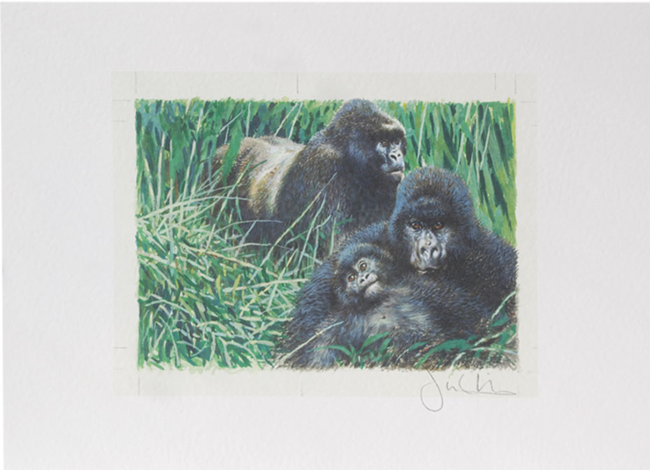 Joel Kirk Print - Moutain Gorilla
